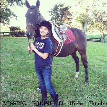 MISSING EQUINE El Hielo Hombre, $1000.00 REWARD  Near Burgaw, NC, 28425